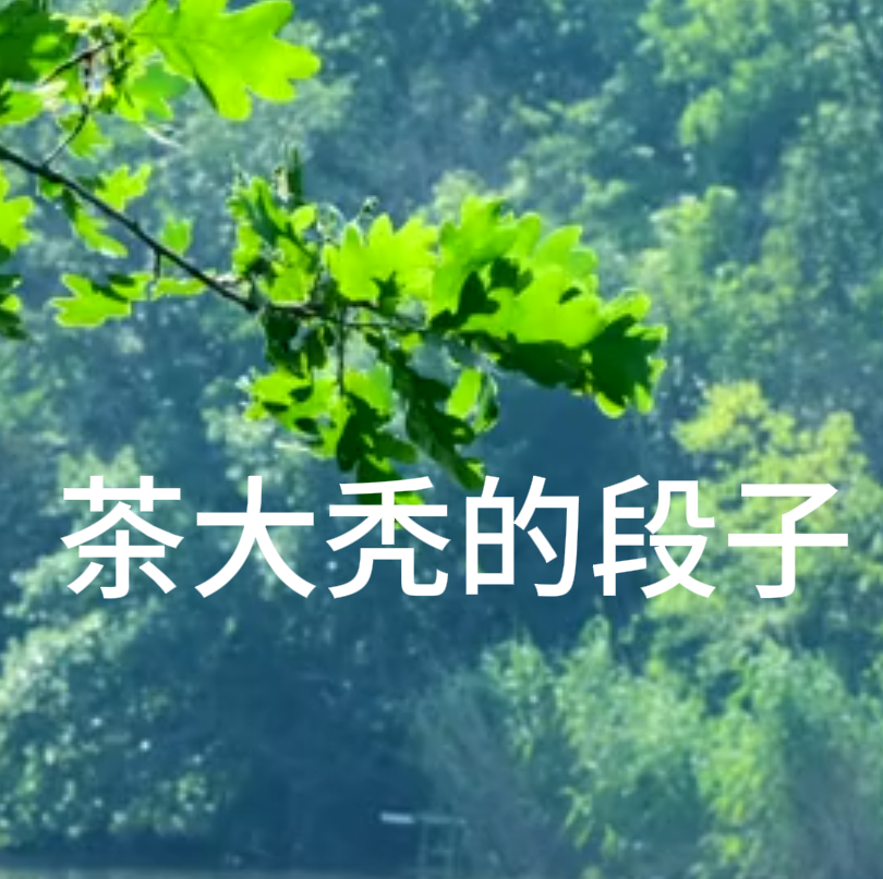 茶大秃的段子（短篇合集1）