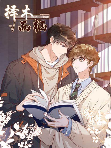 择木而栖