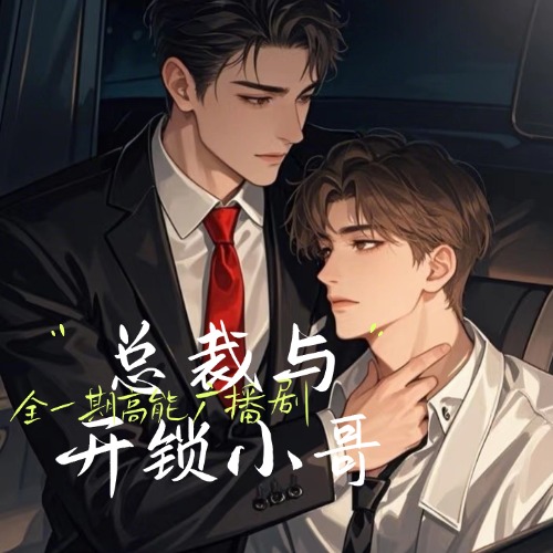 总裁与开锁小哥